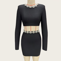 Floral Rhinestone Trim Crop Top and Mini Skirt Set