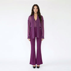 Sheer V-Neck Blouse and High-Waisted Flare Pant Set