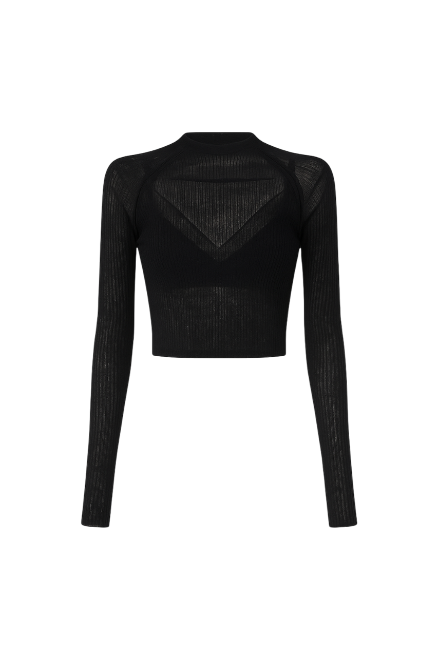 Minimalist Modern Black Sheer Fit Top
