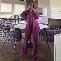 Sheer V-Neck Blouse and High-Waisted Flare Pant Set