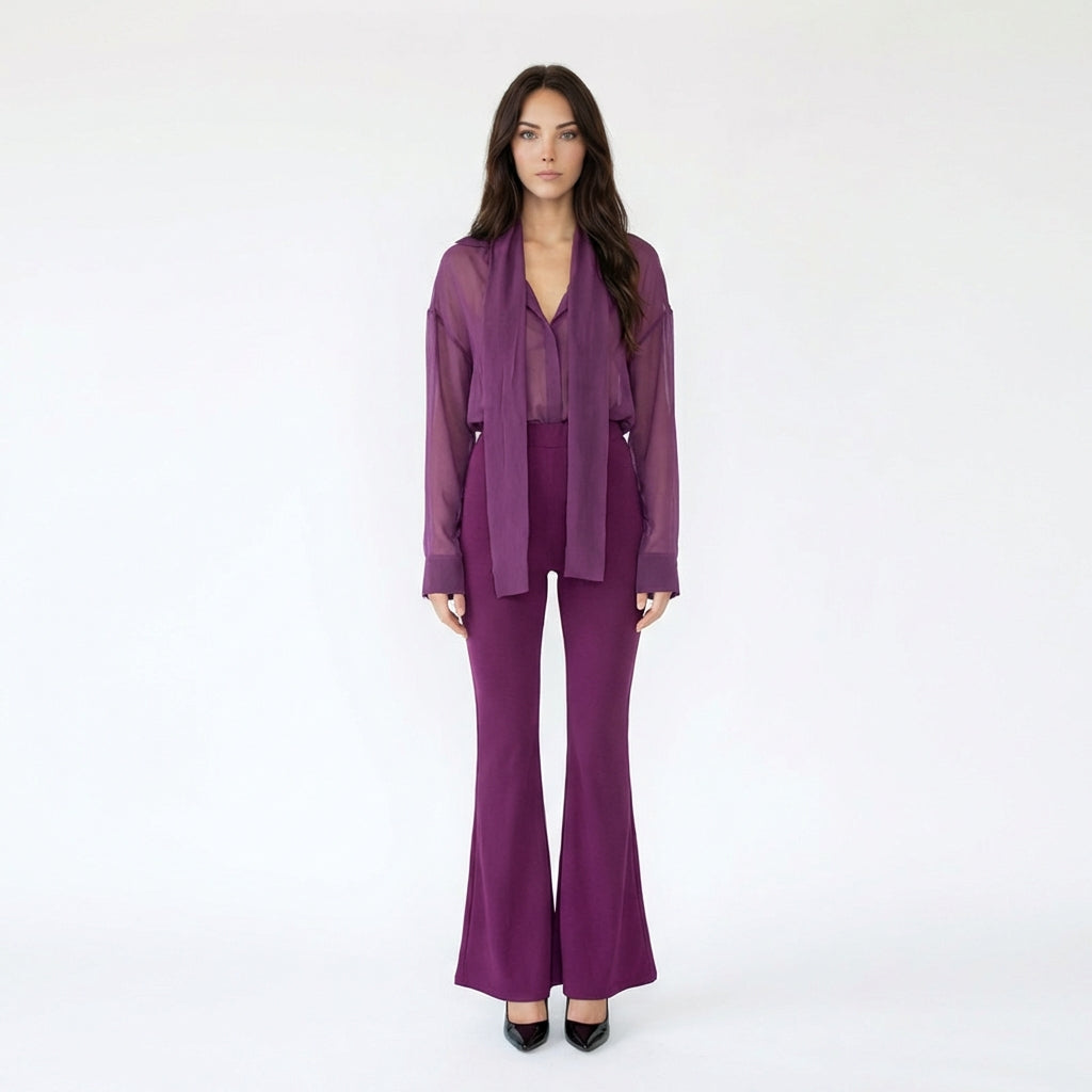 Sheer V-Neck Blouse and High-Waisted Flare Pant Set